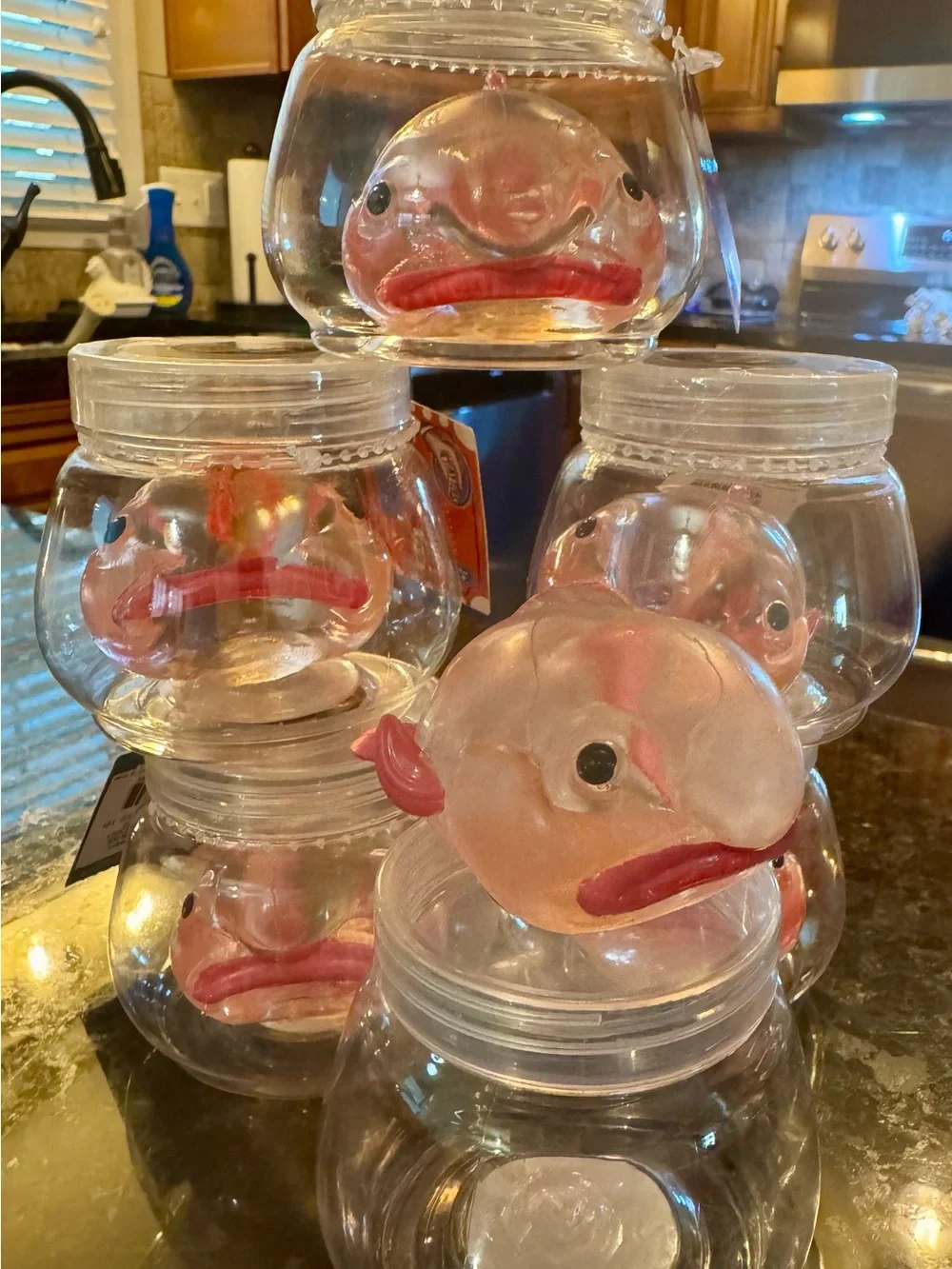 N/A clear fish